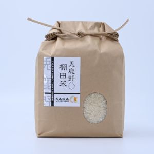 松永緑茶園の緑茶ティーバッグ